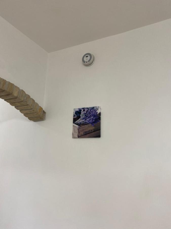 特雷维那诺罗马诺Fringiuli House公寓 外观 照片
